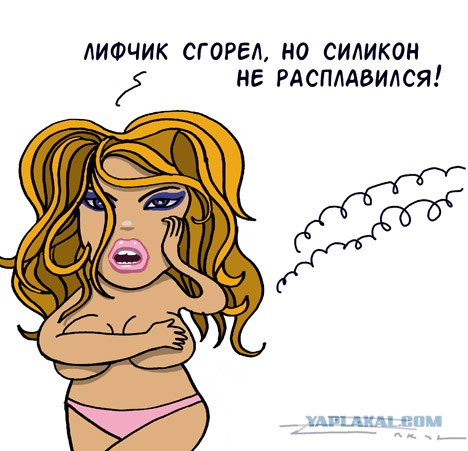 Шедевры Сергея Елкина