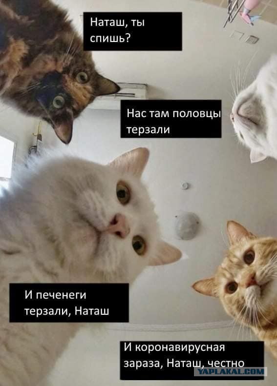 Культурный слой - обман археологов?