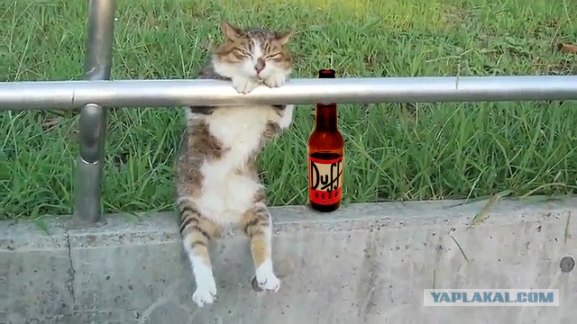 Я пожалуй тут посижу