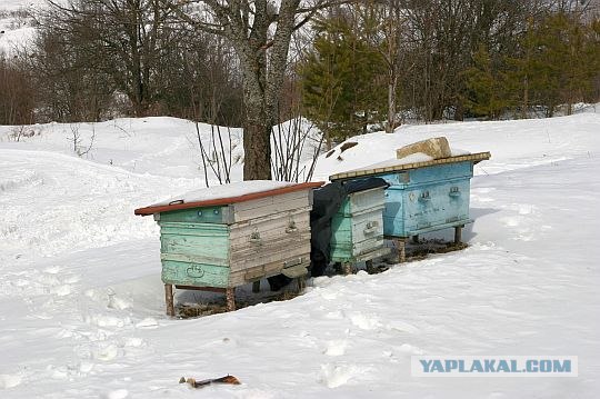 Автопрогулка в горы