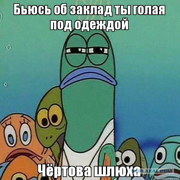 Удачный кадр