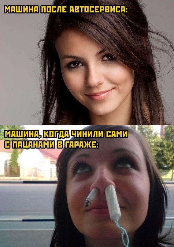 Весёлый полтишок 12.11.23