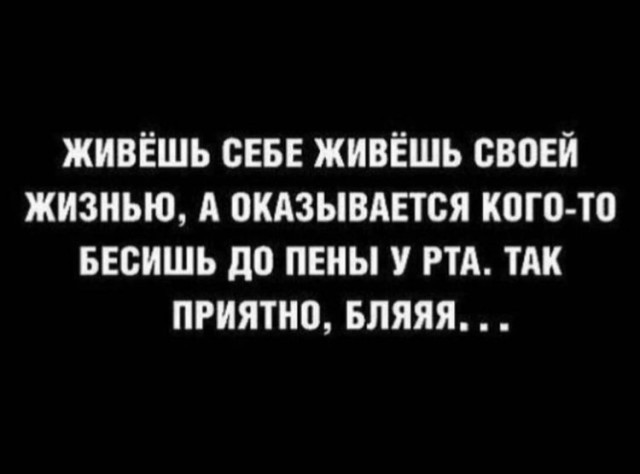 Весёлый полтишок 27.11.23