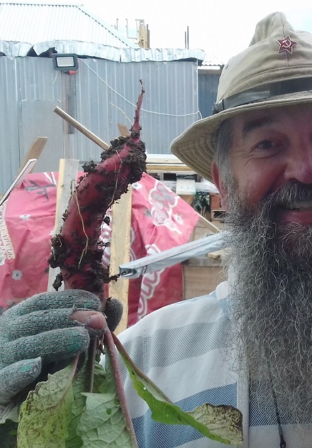 ВЭФ требует запретить домашние овощи и фрукты