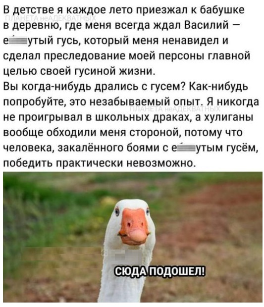 Картинки разные с надписями и без