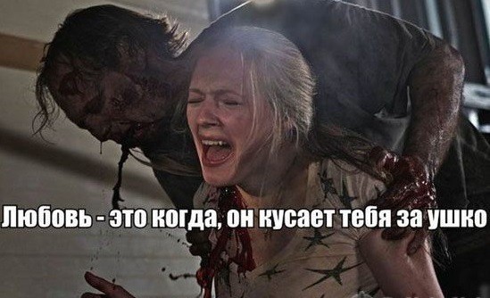 Пятничные 100м2 дичи