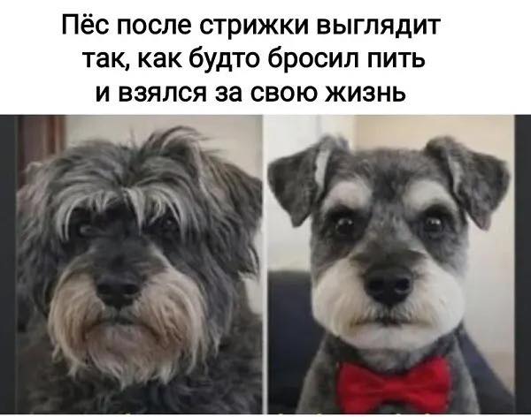 Картиночки, баянчики 02 марта