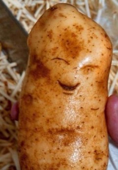 А почему женщин раздражает "являющийся на диване" муж?