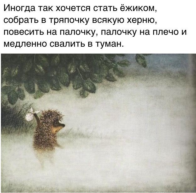 Операция ËЖ.