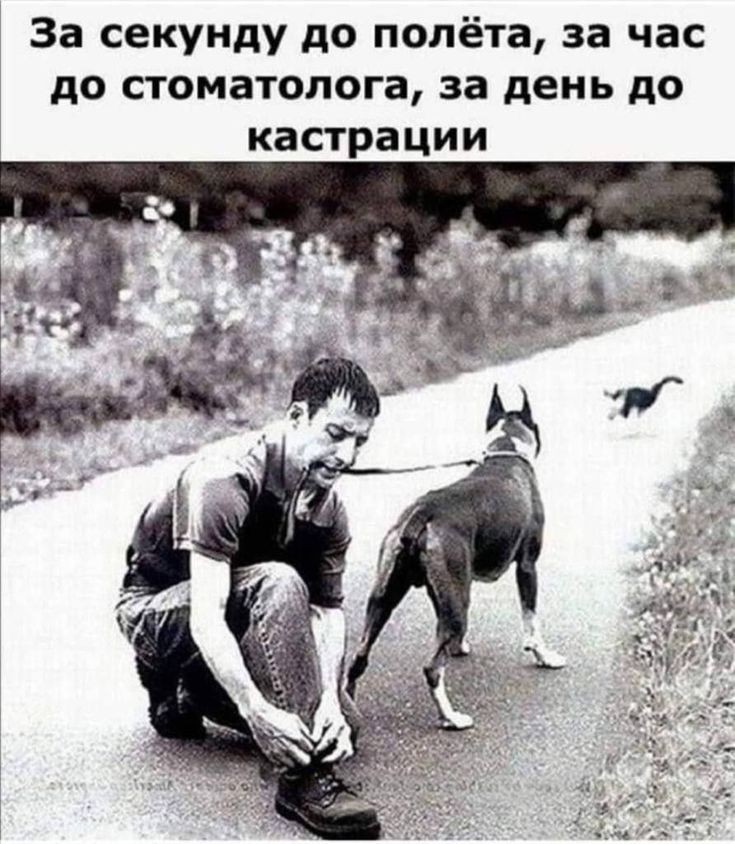 21140550.jpg