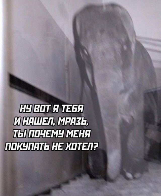 Картинки для деградации 259 (разной степени свежести)