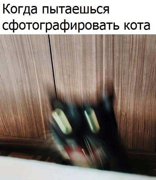 Картинки из закромов памяти