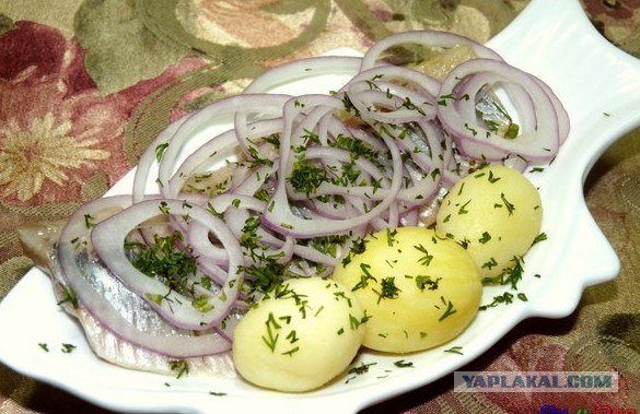 Иностранцы о русской кухне