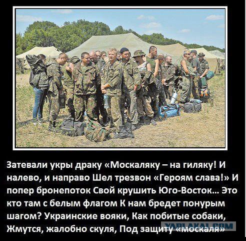 Новосветловка и Ясиноватая освобождены