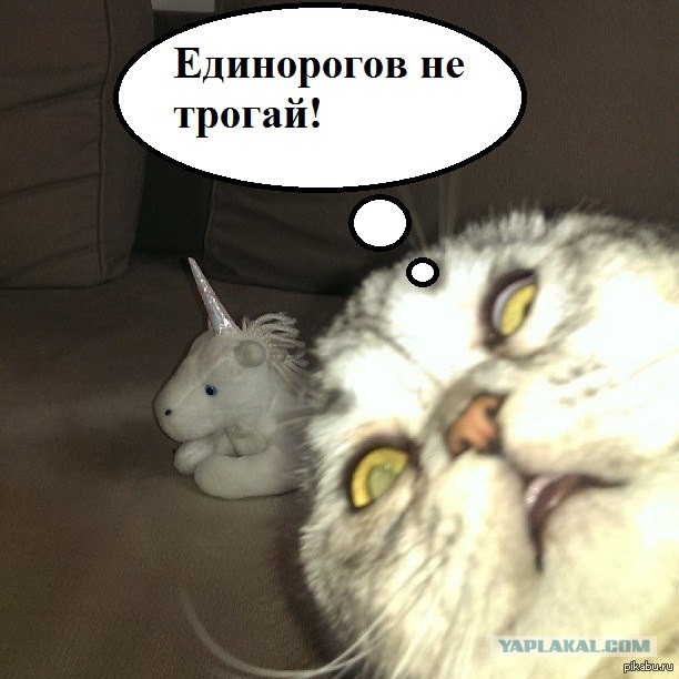 Немцов убит в Москве