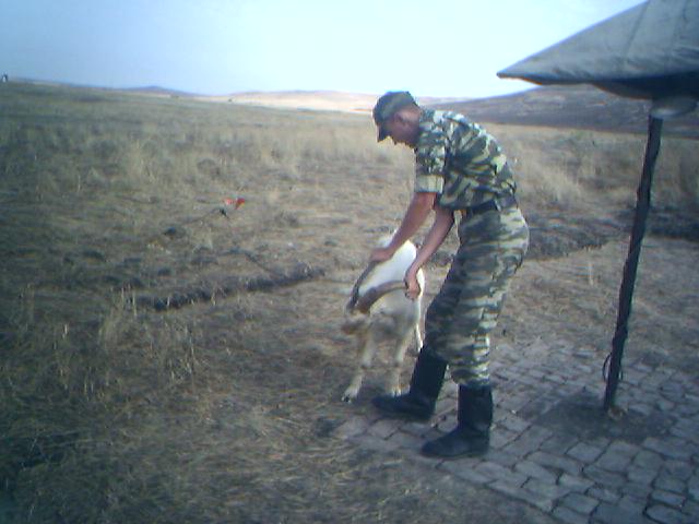 Назад на любимый ЯП