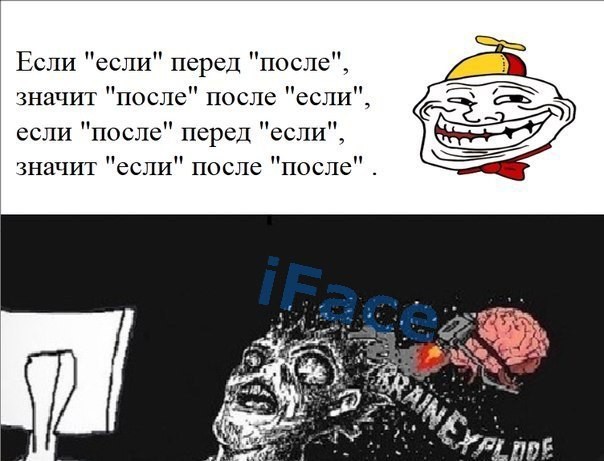 Что делать, если на вас напал медведь
