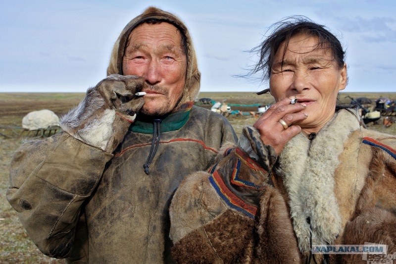 narodi-severa-ebut-zhen-vse-li-muzhchini-smotryat-pornofilmi