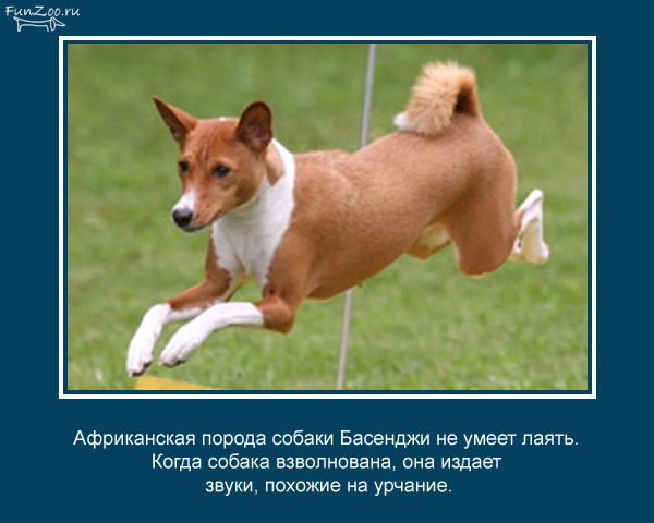 25 интересных фактов.