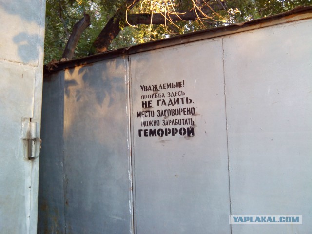Лучшие картинки из ВК