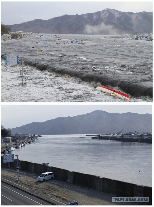 Tsunami: год спустя.