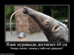 Общество любительниц мужских рук