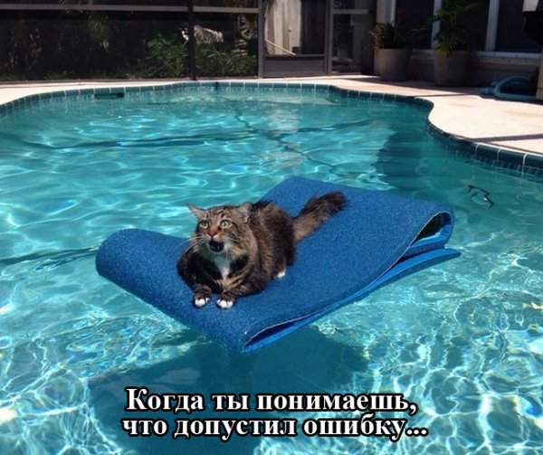 Просто картинки. Всяко разно, не заразно.