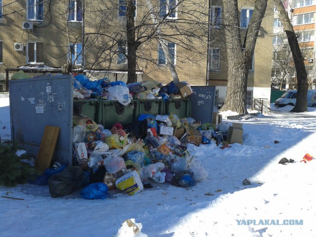 Ну что за свиньи, мля...ь