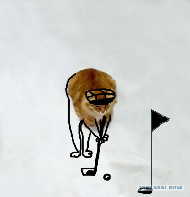 Рождение нового кото-мема