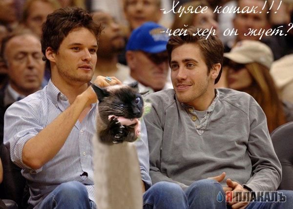фотожаба "ПРИЯТЕЛИ"