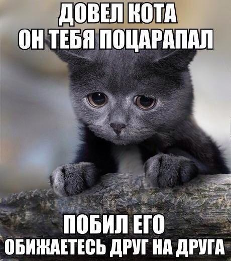 Отовсюду понемногу