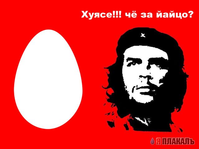 МОБИЛЬНАЯ СВЯЗЬ. Операторы, провайдеры