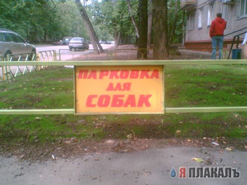 Необычный паркинг для необычного транспорта!