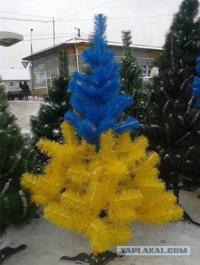 Весёлые картинки 16.12.2016.