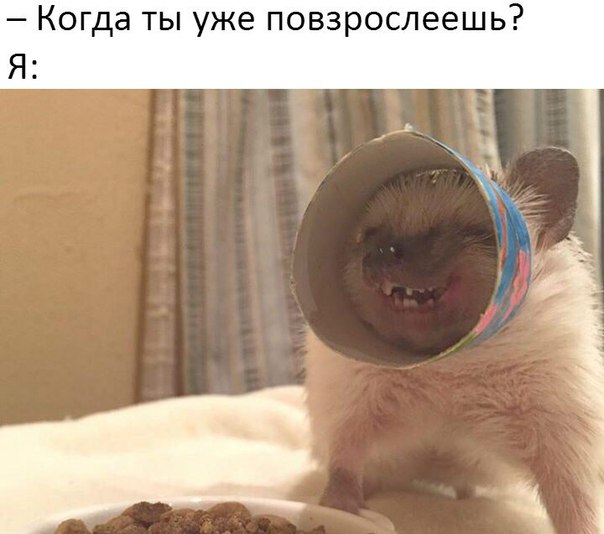 Подборка интересных и веселых картинок