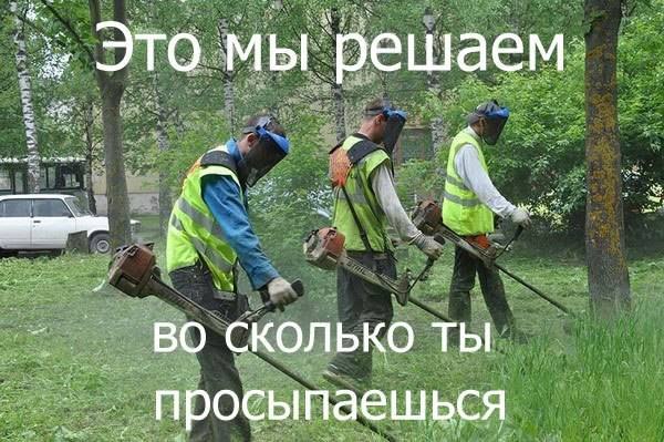 49 забавных картинок