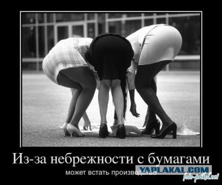 Девушки: вид со спины