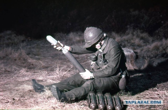 Шведская армия времен холодной войны