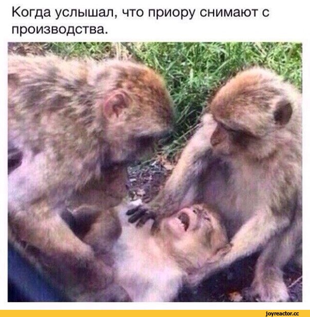 Чеченскую молодежь опечалило снятие с производства Lada Priora