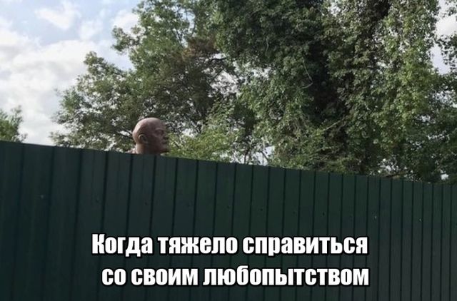 Нестандартный юмор