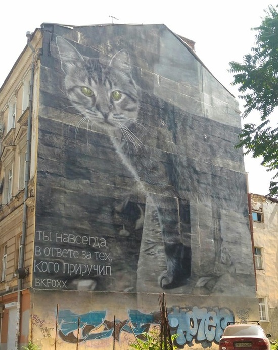 Немного милоты