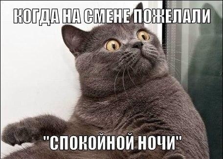 Ударим медицинской деградацией по урологии и ветеринарии!