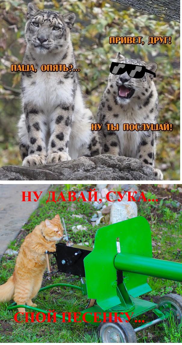 Так, граждане тунеядцы! Картинки, значит, смотрим