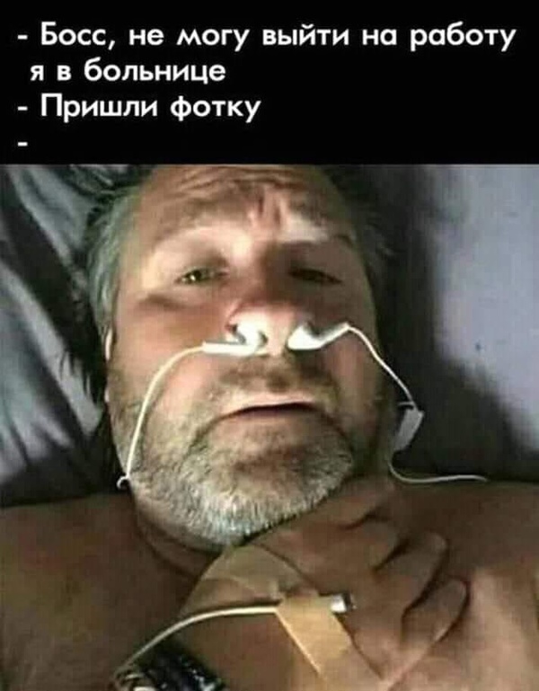 Так, граждане тунеядцы! Картинки, значит, смотрим