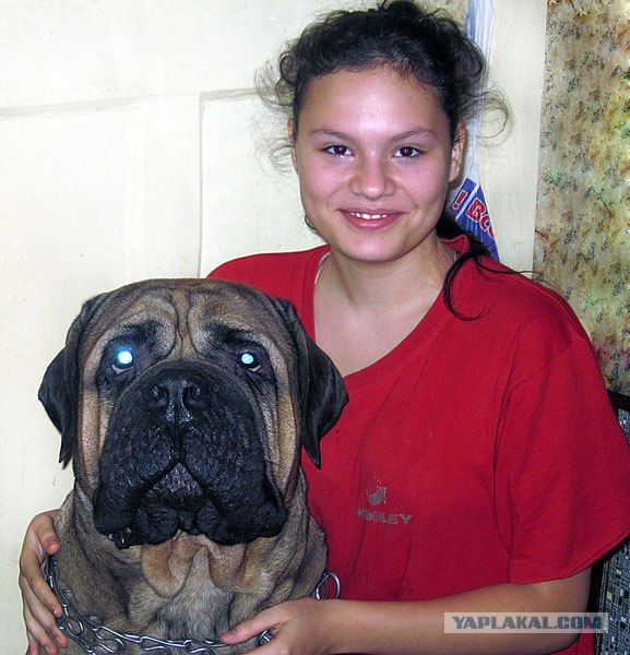 Лучшие друзья навсегда