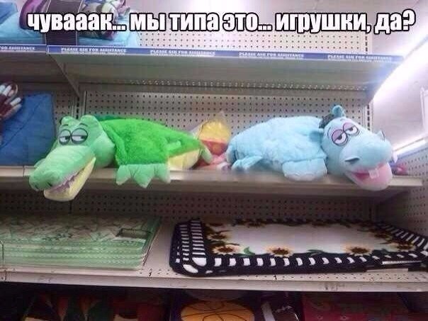 Прикольные картинки абавсём