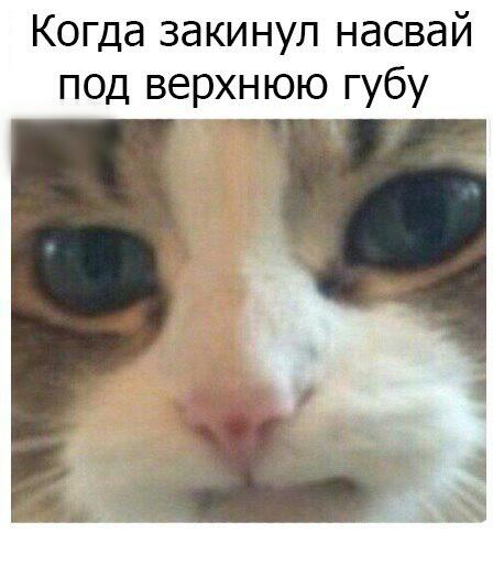 Глоток чёрного воздуха