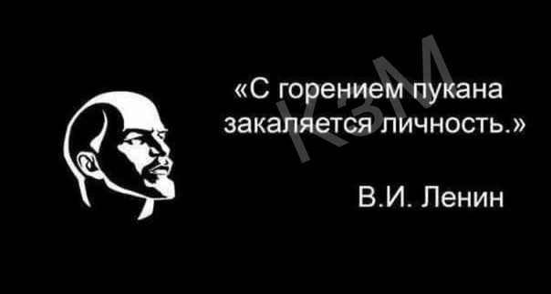 Бредзона в картинках 21/11/2019