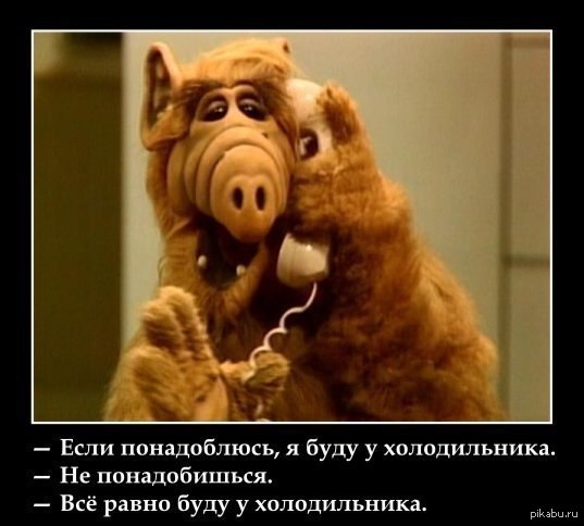Вопрос обнаглевшим женщинам от нормального мужчины