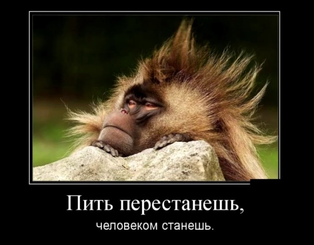 Почему отдых для многих - это употреблять алкоголь